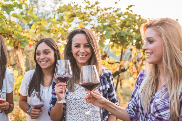 women on a wine tour