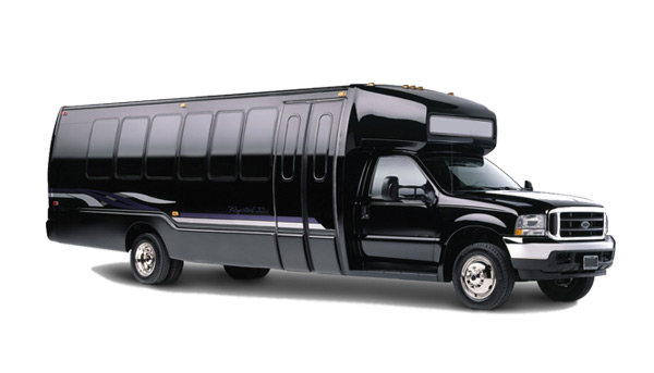 17 passenger party bus